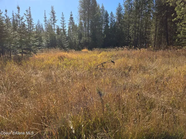 Nka Julian Ln Lot 1, Fernwood, ID 83830