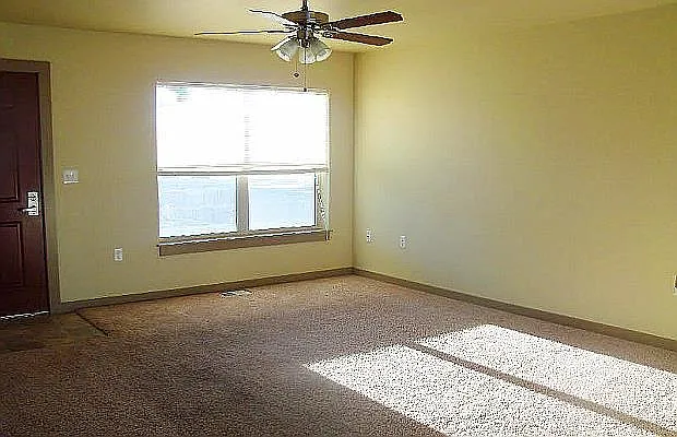 Ceiling fan in living room