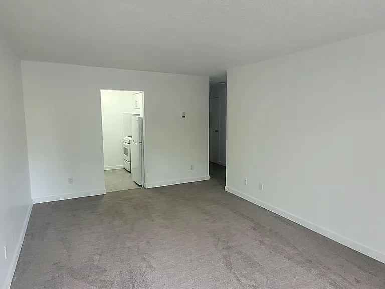 1033 4th Ave #210 — Photo 15