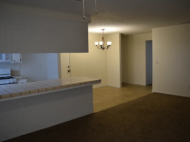 4809 Millbrook Way — Photo 7