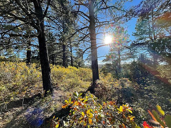5th image of LOT 13 Beaver Pines Loop