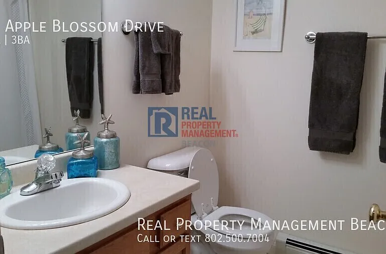 14 Apple Blossom Dr — Photo 14