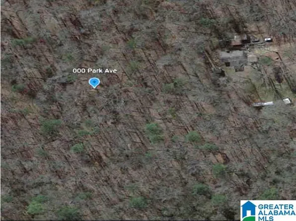 0 Park Ave #0, Moody, AL 35004