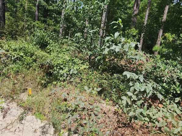 2340 Camp Rd, Bethune, SC 29009