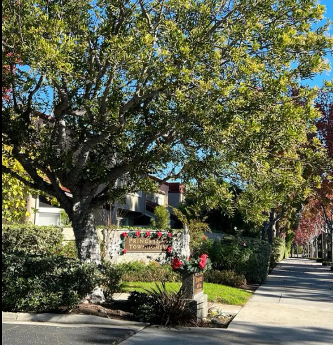 181 Stanford Court — Photo 1
