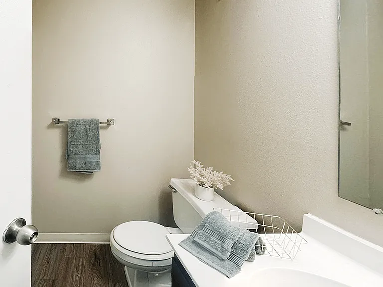 Bathroom with Wood Plank Style Flooring