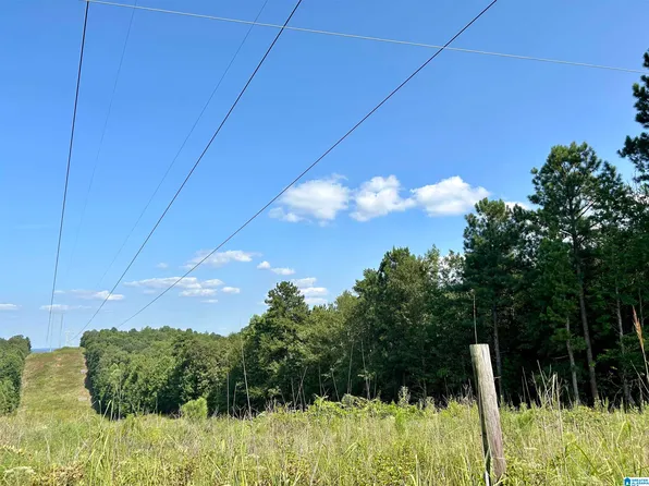 0 County Road 329 #9, Wedowee, AL 36278