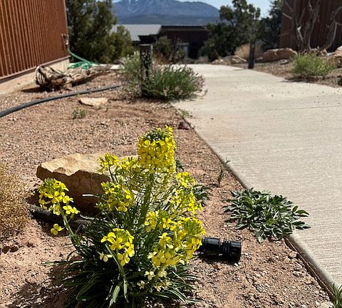 Walkway from Garage to Main House