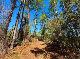 40001 Maggie Jones Rd, Paisley, FL 32767