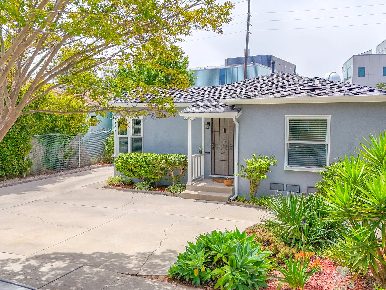 1 bed, 1000 sqft, $4,900 — Photo 1