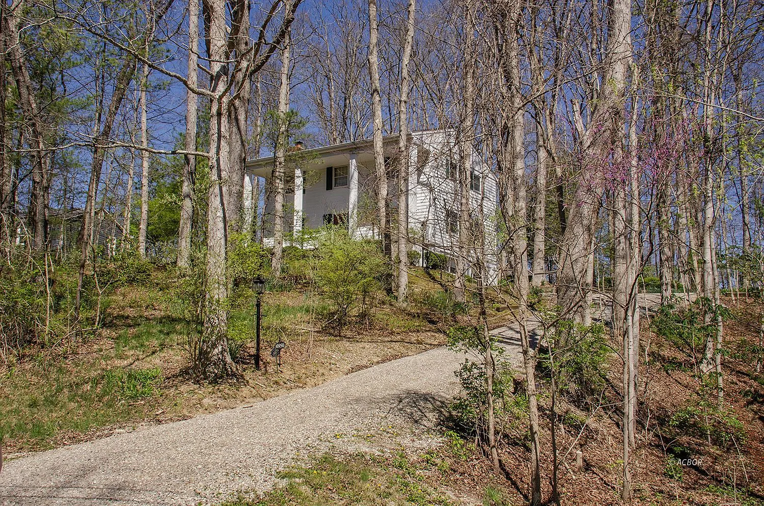 6950 Cornell Rd photo 1