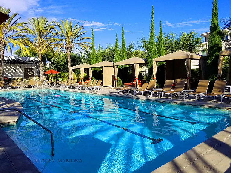 Resort-style amenities