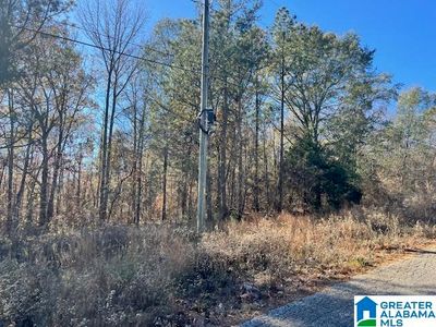 0 Sycamore Church Rd #6, Talladega, AL, 35160