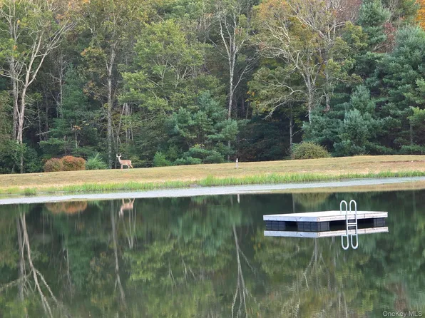 Black Bear Court, Barryville, NY 12719