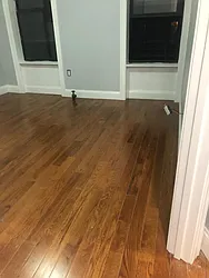 Rented by Elite NY Holdings