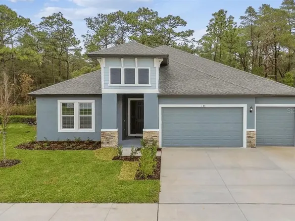 789 Nicewinter Dr, Spring Hill, FL 34609