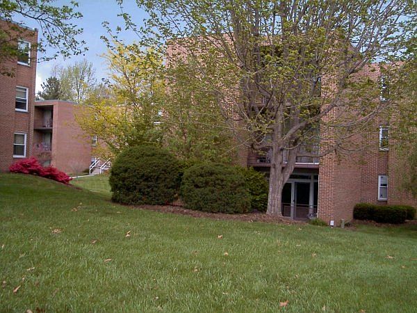 902 2 Brightwood Manor Patio bushes hide view of parking are