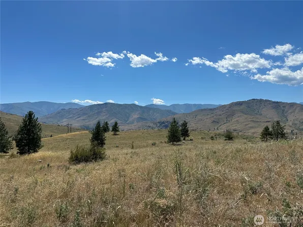 0 TBD Peterson Ranch Road, Pateros, WA 98846