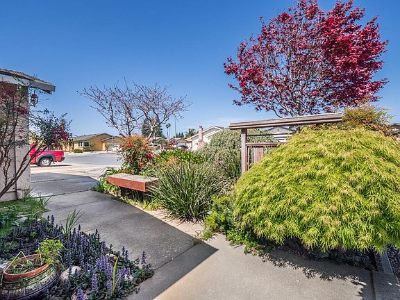 3rd image of 535 Vivienne Dr