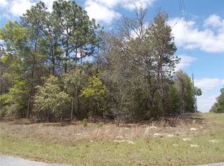 8824 N Travis Dr, Citrus Springs, FL 34434