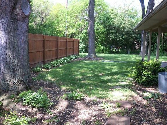 backyard 2