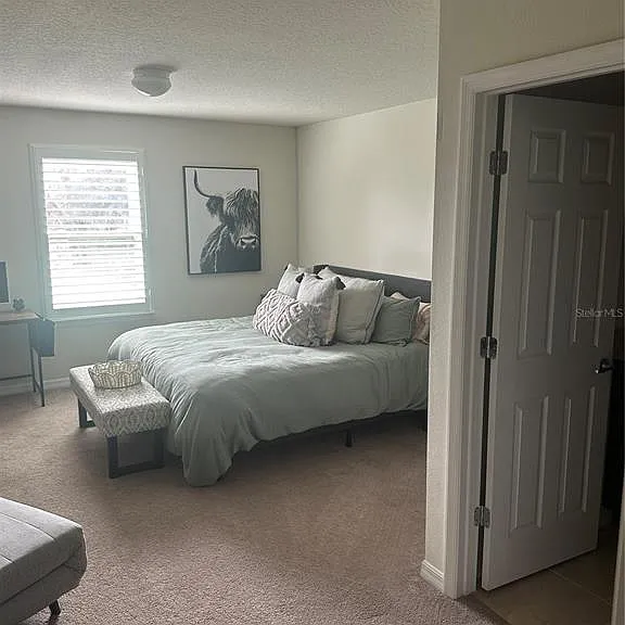 2779 Matera Dr — Photo 23