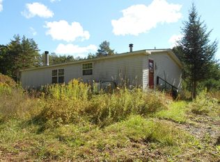 14-16 Loomis Ln, Diamond Point, NY 12824