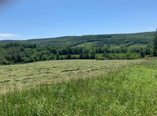 0 Finkenbinder Rd, Spencer, NY 14883