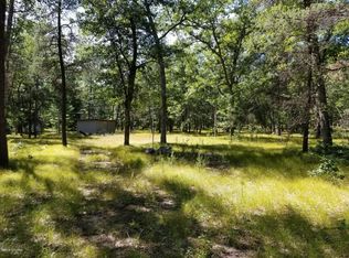 1813 N Forman Rd, Baldwin, MI 49304