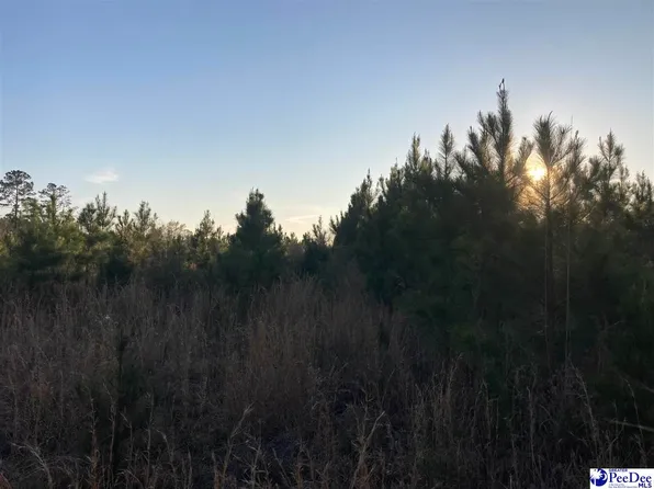 Tbd Miller Dr, Dillon, SC 29536