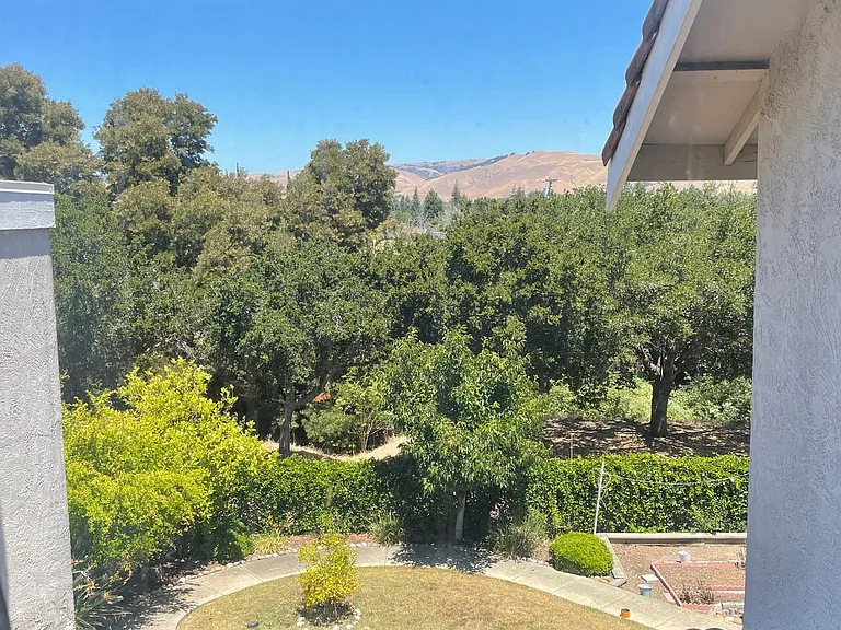 2885 Alice Ct — Photo 26