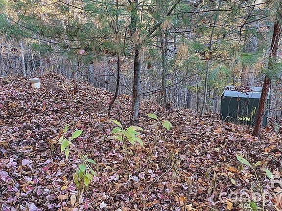 5th image of 512 Wild River Run #65