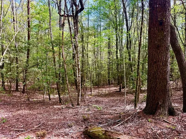 59 Rainy Farm Rd, Murphy, NC 28906