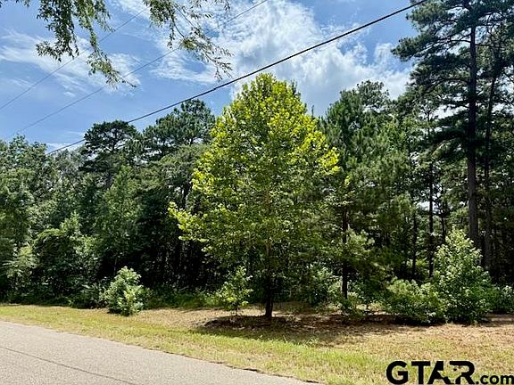 2nd image of 16203 County Road 436