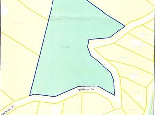 William Dr, Spring city, TN 37381