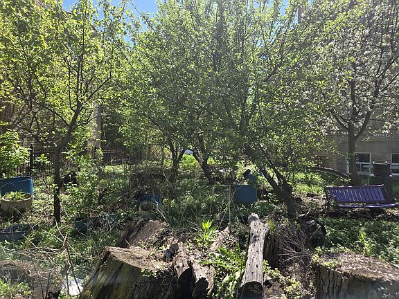 3rd image of 1839 W Touhy Ave