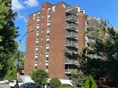 19 Winchester St APT 304, Brookline, MA, 02446