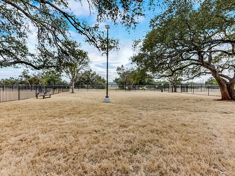 Dog Park