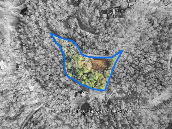 84 Spiva Cove Mountain Trl #1, Blairsville, GA 30512