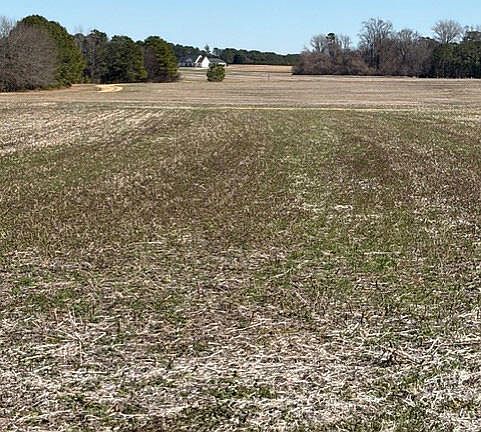 4th image of (Undisclosed Address)