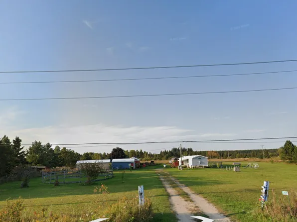 3608 Lovegrove Rd, Moran, MI 49760