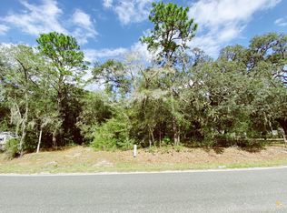 0 Sleepy Hollow Dr, Interlachen, FL 32148