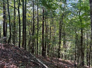 Conasauga Rd, Ellijay, GA 30540