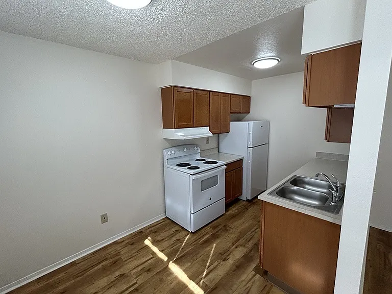 505 W Geneseo St #C — Photo 3
