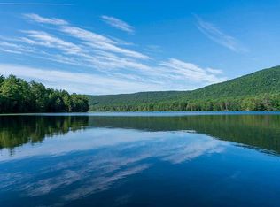 420 Collins Gifford Valley Rd #7, Northville, NY 12134