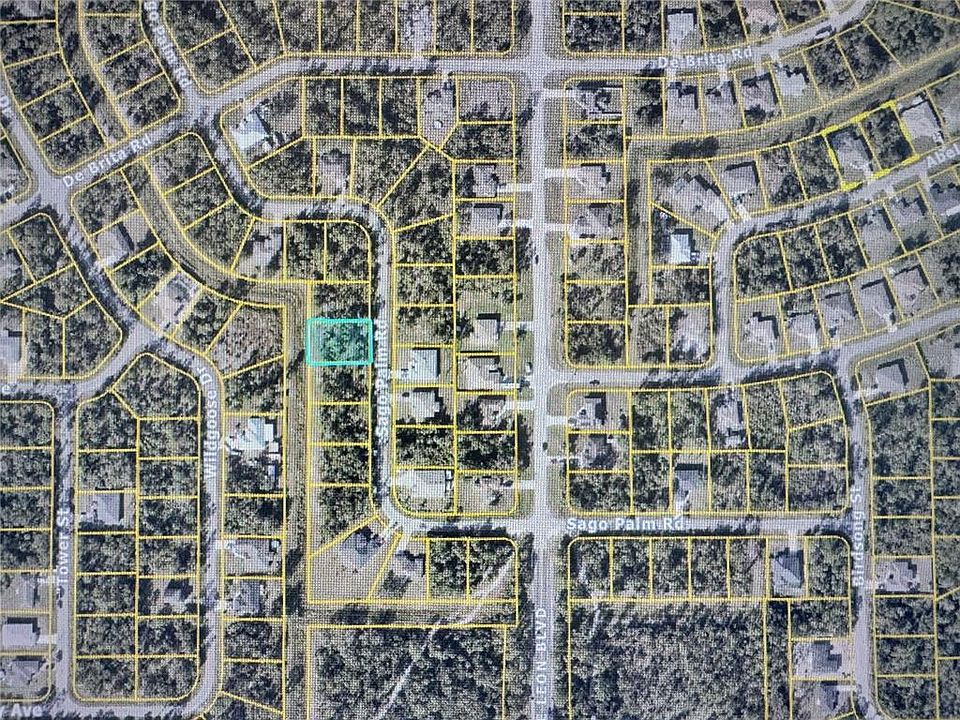 1st image of Sago Palm Rd #8