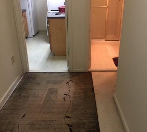 Kitchen and bathroom