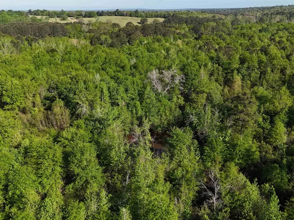000B County Road 240, Tyler, TX 75705