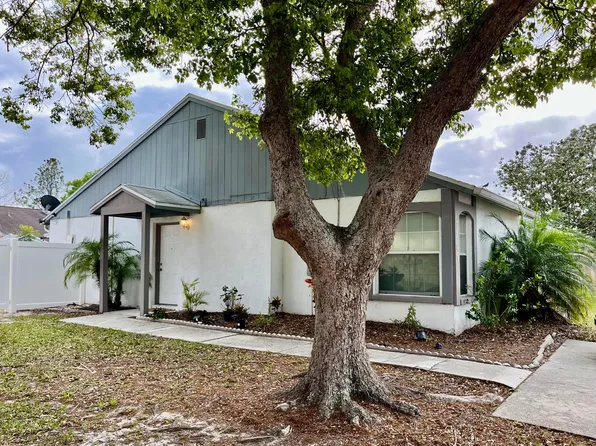 7706 Citrus Field Ct, Tampa, FL 33625