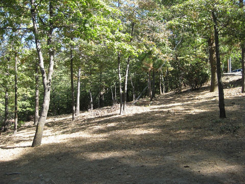 1st image of Deer Way